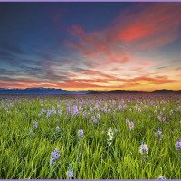 Image of a sunrise