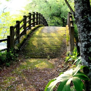 Image of a bridge in Japan