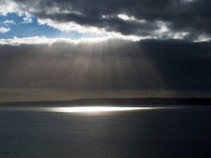 Image of rays on water