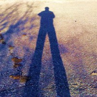 Image of long legs cast by a shadow