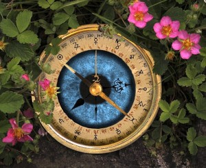 Image of a golden compass